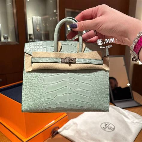 hermes birkin windows|Updated: OMG, Move Over Mini Kelly, the Birkin 20 is Here.